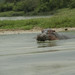 Elizabeth Wild Photo 17