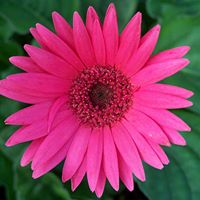 Jeannie Summers Photo 7