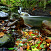 David Melin Photo 10