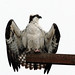 Duane Post Photo 9