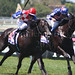 Jan Matlock Photo 14