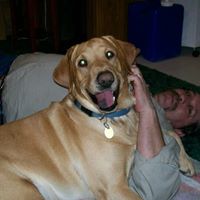 Earl Conner Photo 12