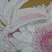 Jacqueline O'Brien Photo 9