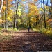 Judy Riggs Photo 20
