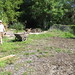 Jennifer Springfield Photo 13