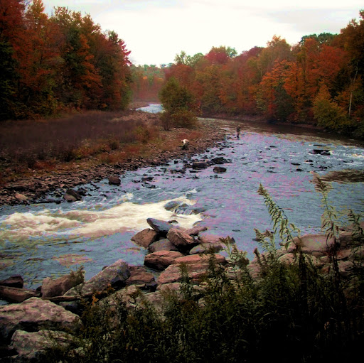 Steve Conrad Photo 6