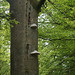 Carl Poplar Photo 9