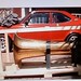 Adam Muniz Photo 15