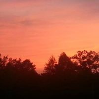 Judy Bennett Photo 22