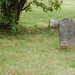 Willard Clark Photo 24
