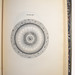 Thomas Wright Photo 31