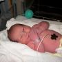 Dana Wood Photo 22