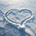 Deb Cook Photo 15