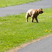 Anne Parks Photo 30