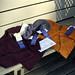 Elizabeth Benton Photo 12
