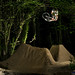 Richard Homer Photo 24
