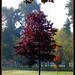 Misty Curtis Photo 17