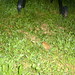 Fredrick Good Photo 8