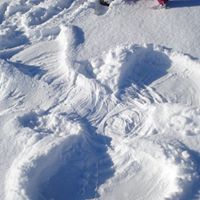 Dana Schwartz Photo 9