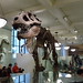 Sue Field Photo 19