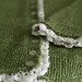 Pamela Tweed Photo 13