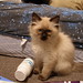 Sandy Weeks Photo 20