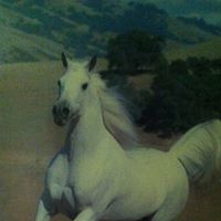 Deborah Trimble Photo 20