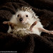 Katherine Clover Photo 8