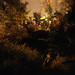 Albert Davis Photo 13