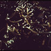John Few Photo 10