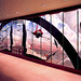 Wayne Andersen Photo 14