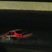 Dustin Gibbs Photo 6
