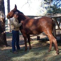 Rick Langley Photo 17