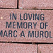 Marc Fitzgerald Photo 16