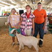 Elmer Ritchie Photo 12