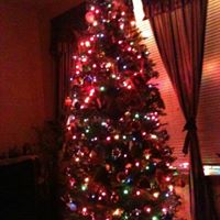 Christine Padula Photo 13