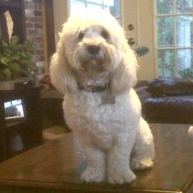Kimberly Bartlett Photo 28