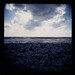 Avis Gray Photo 23