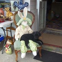 Nancy Tooley Photo 5
