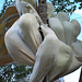 Michael Berens Photo 12