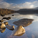 Lee Wester Photo 11