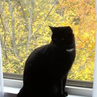 Brenda Niese Photo 1