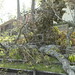 Rita Livingston Photo 8