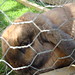 Jack Jacob Photo 40