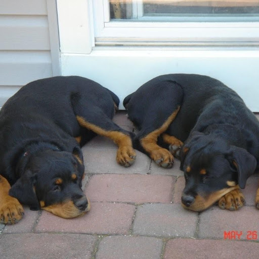 Susan Caggiano Photo 10