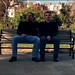 Andrew Roth Photo 19