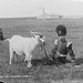 Robert Busby Photo 39