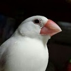 Hiroyuki Takagi Photo 8
