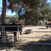 Kenny Gail Photo 14