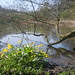 April Roche Photo 11